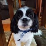 Rick Wade  DeWitt - @r_wade16 - Instagram