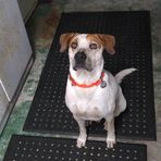 Wade Discuillo - Facebook
