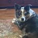 Wade Doering - Facebook