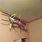 Douglas Wade - @douglas.wade.391 - Instagram