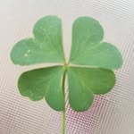 Wade Douglas - @wadedouglas998 - Instagram