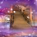 Wade Downs - Facebook