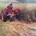 Wade Doyle - Facebook