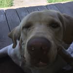 King_Maximus_Drake_Wade - @drake_wade_1407 - Instagram