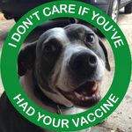 Wade Dukes - @gatorbeancounter - Instagram