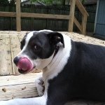 Wade Dukes - @wade_dukes3429 - Instagram