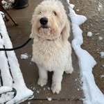 Wade Dysinger - @wadedysinger - Instagram