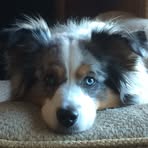 Dyson Wade - Facebook