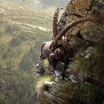 Wade Eason - @wade.eason - Instagram