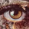 Edmond Wade - @edmond.wade - TikTok