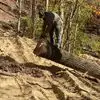 Wade Eldridge - @wadeeldridge52 - TikTok