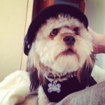 Wade Ferguson - @fergo169 - Instagram