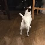 Wade Fraser - @wade59952 - Instagram