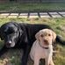 Wade Fraser - Facebook