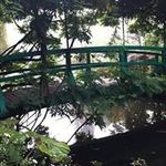 Marcia Wade-Frey - @marciawadefrey - Instagram