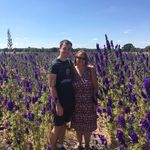 Gill Wade - @gill.wade.90 - Instagram
