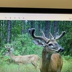 Wade Gill - Facebook