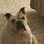 Wade Gilley - @wade_gilley1970 - Instagram