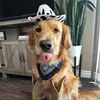 Wade the Golden - @goldenbabywade - TikTok