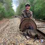 Wade Graham - @wadegraham - Instagram
