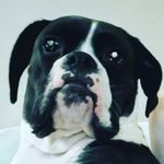 Wade Graham - @wade92071 - Instagram