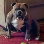 Head Wade - Facebook