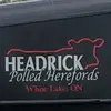 Wade Headrick - @wadeheadrick - TikTok