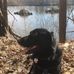 Wade Heck - Facebook