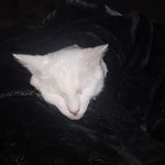 Wade Hendrickson - @wade.hendrickson.96 - Instagram