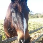 Wade Hendrickson - @wade.hendrickson.501 - Instagram