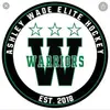 wadewarriorshockey - @wadewarriorshockey - TikTok