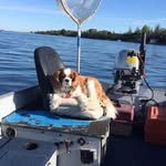 Wade Hoffman - @hoffw - Instagram