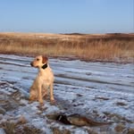 Wade Hoffman - @whoffman82 - Instagram