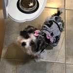 Semon Wade Holt - @cecegirl53 - Instagram