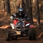 Wade Holt - @wade_holt1 - Instagram