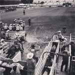 Wade Hooker - @wade.hooker.980 - Instagram