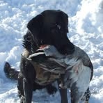 Wade Hoyt - Facebook