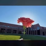 Wade Hudson - @wadeson_56 - Instagram