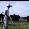 Wade Hudson - @wadehudson6 - TikTok