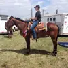 Wade Studson - @wadehudson14 - TikTok
