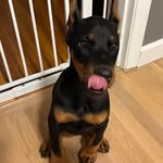 wade - @wade_huggins20 - Instagram
