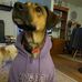 Wade E Hurd - Facebook