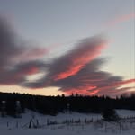 Wade Kirby - @kirby.wade - Instagram