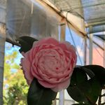 Wade Jacobson - @ltwadejacobson - Instagram