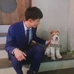 @wadekao - Instagram