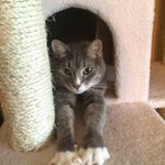 Marylane Wade Koch - @meritmom - Instagram