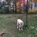 Wade Koch - Facebook