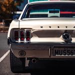 Wade Krueger - @mus__1967 - Instagram