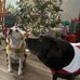 Wade Kathy Lackey - Facebook