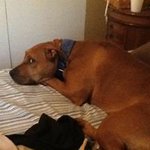 wadelackey - @wadelackey34 - Instagram